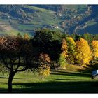 Verschwenderisch schöne Herbsttage