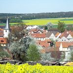 Verschwenderische Natur: Alles blüht zur gleichen Zeit (2) ...