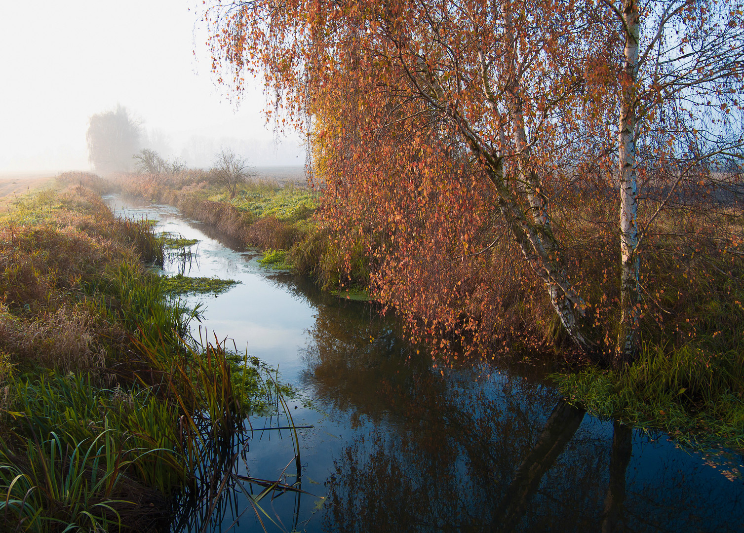 Verschwenderische Natur