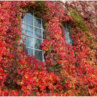 verschwenderischer Fensterschmuck