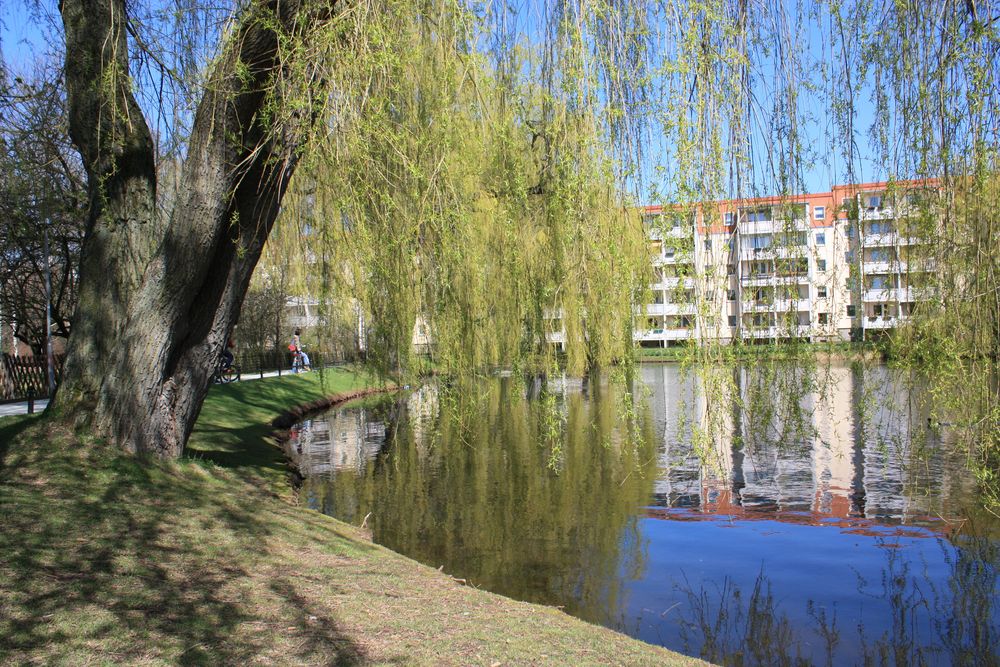 Verschwenderischer Frühling