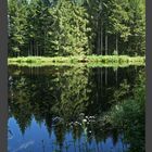 Verschwiegener See im Schwarzwald