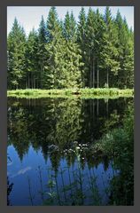 Verschwiegener See im Schwarzwald