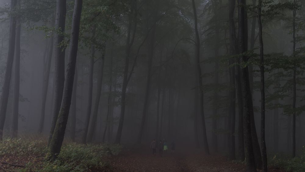 verschwinden im Nebel