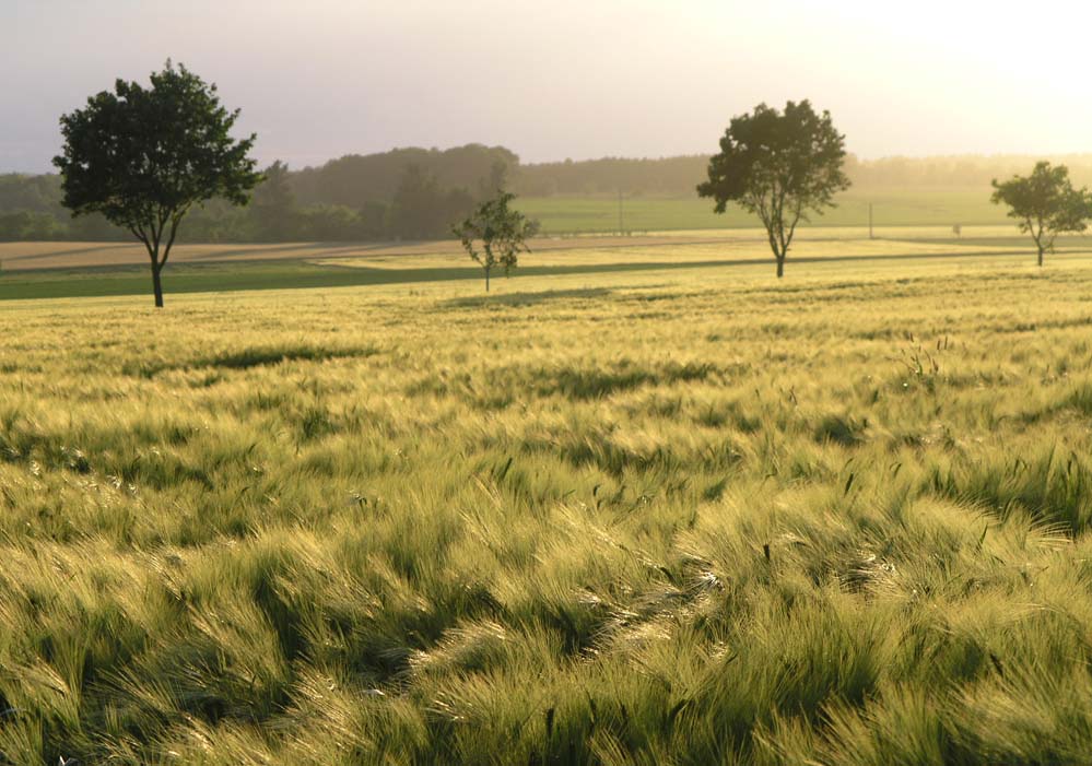 verschWindender Hintergrund