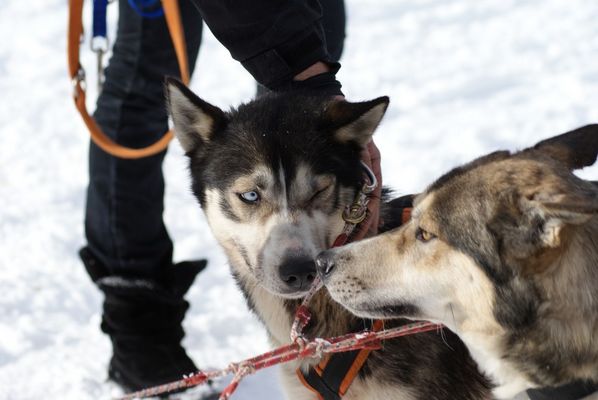 Verschwörung vor dem Start