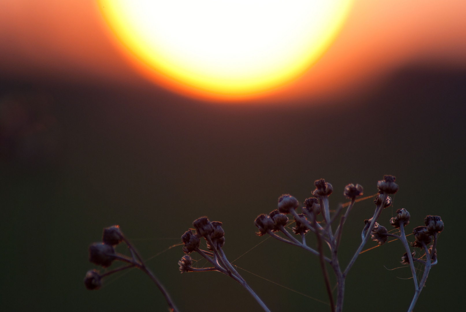 Verschwommener Sonnenuntergang