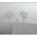 verschwunden im Nebel