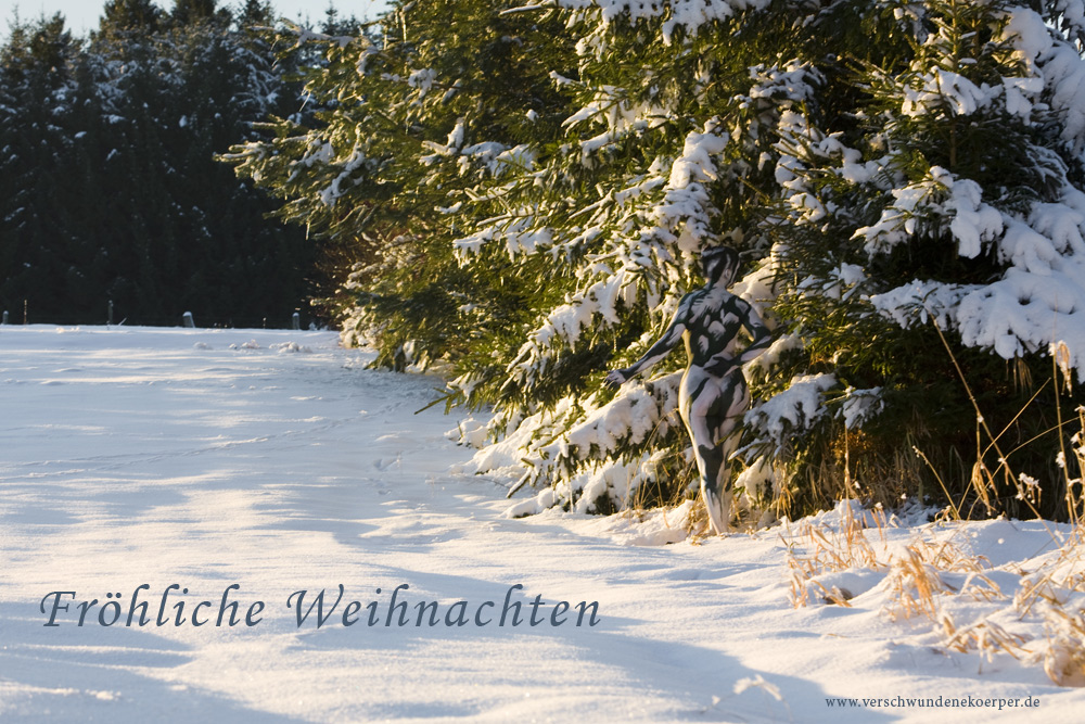 Verschwunden im Weihnachtswald