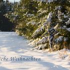 Verschwunden im Weihnachtswald