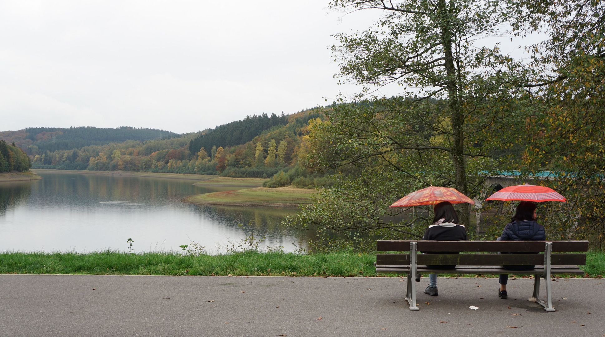 Versetalsperre im Regen