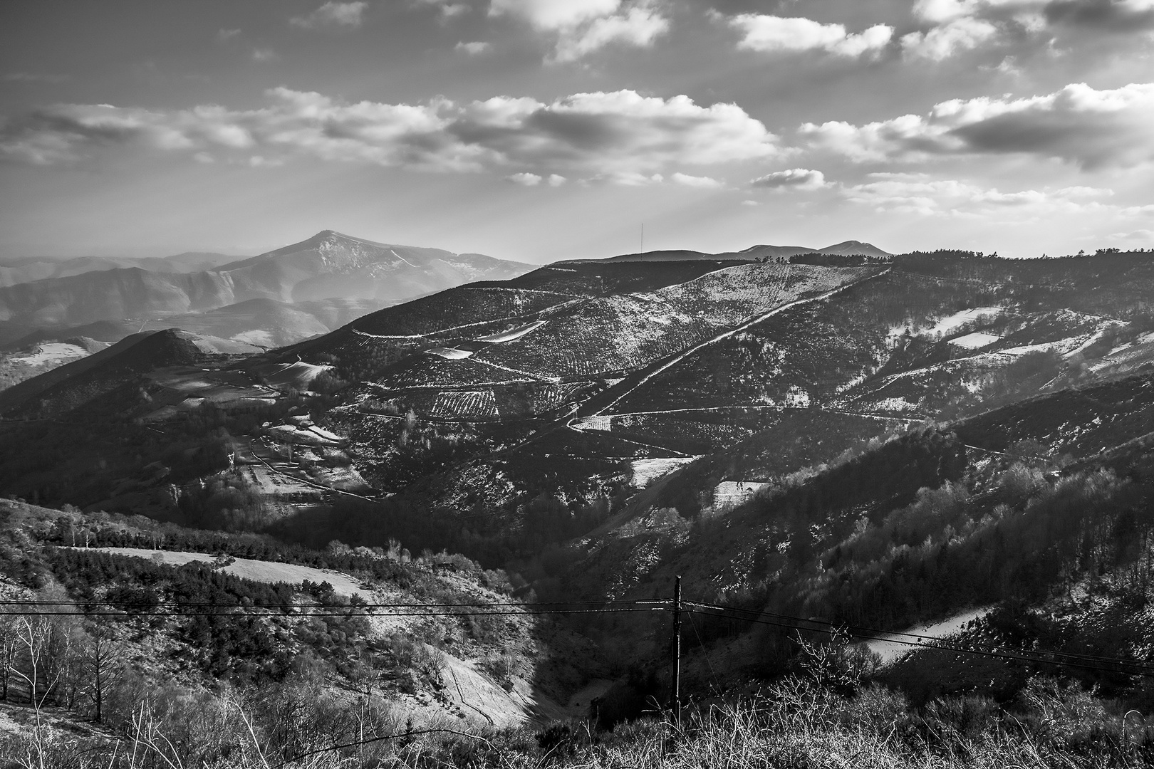 VERSIÓN EN BLANCO Y NEGRO