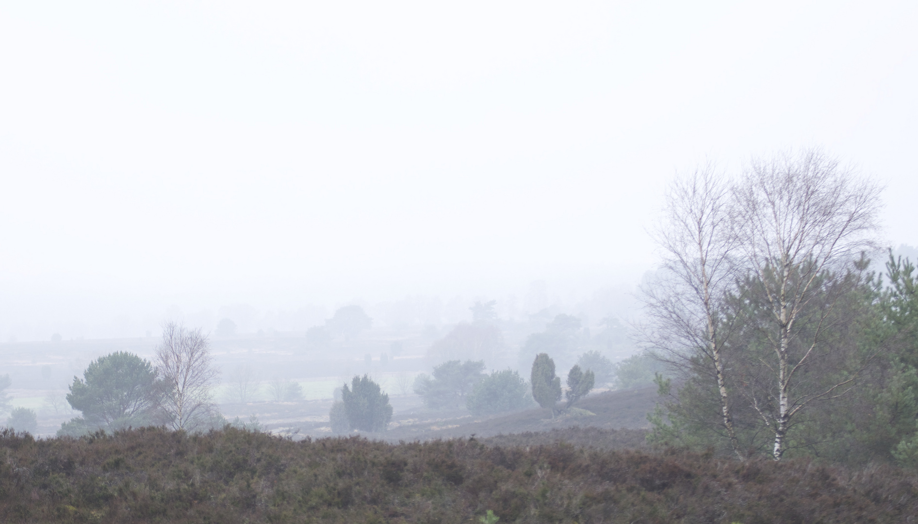 versinkt alles wie im Nebel