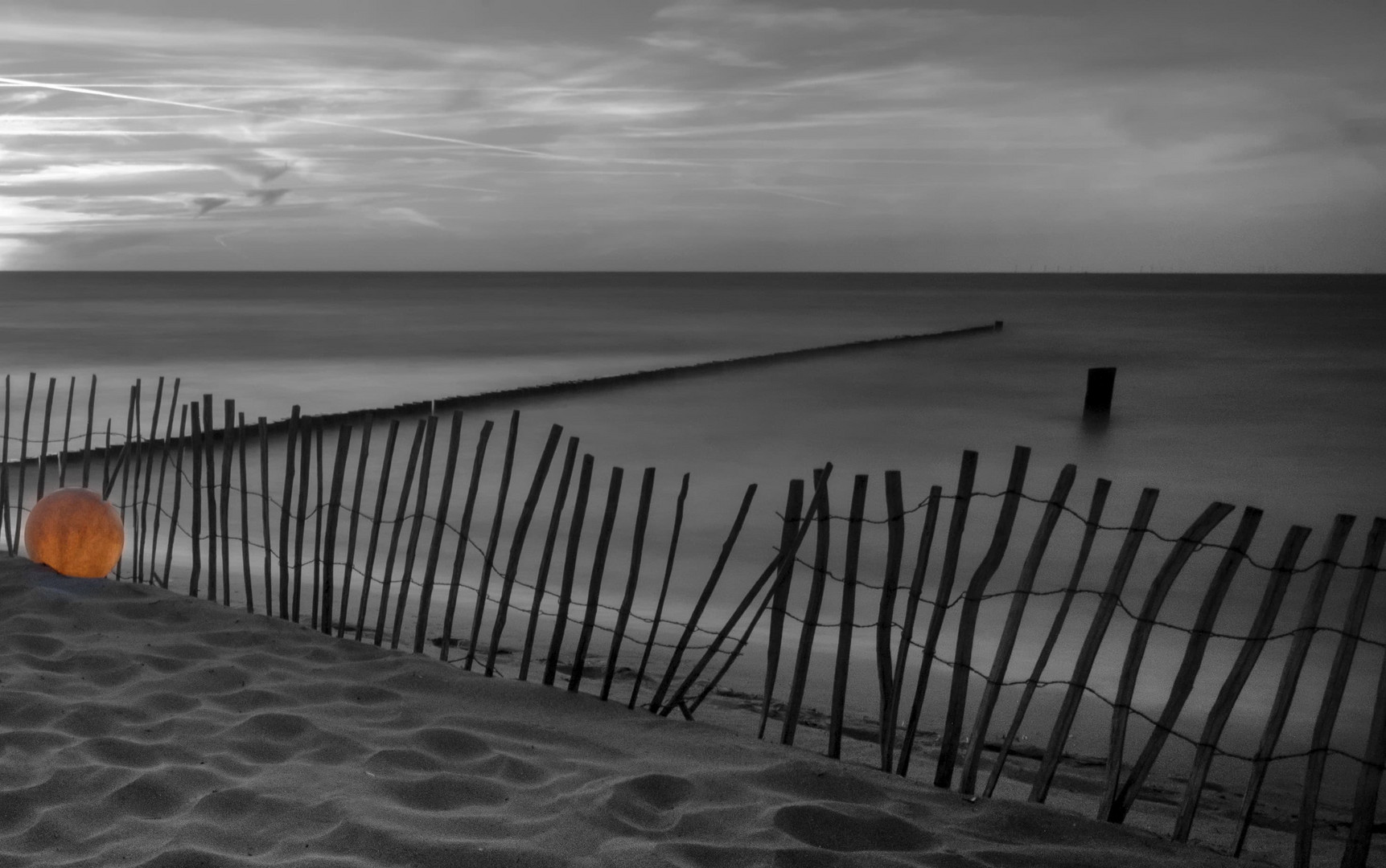 Version 1 Zingst an der Strandbar