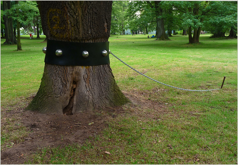 "Versklavt" oder "Masochistischer Baum?"