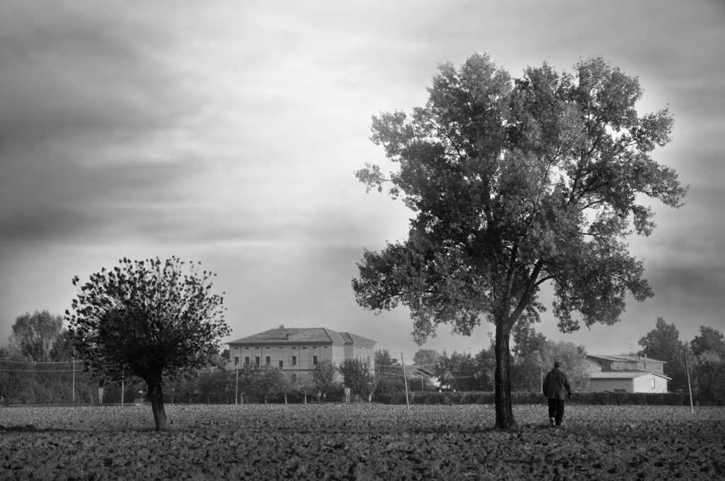 "Verso casa" di Carlo Rigoglioso