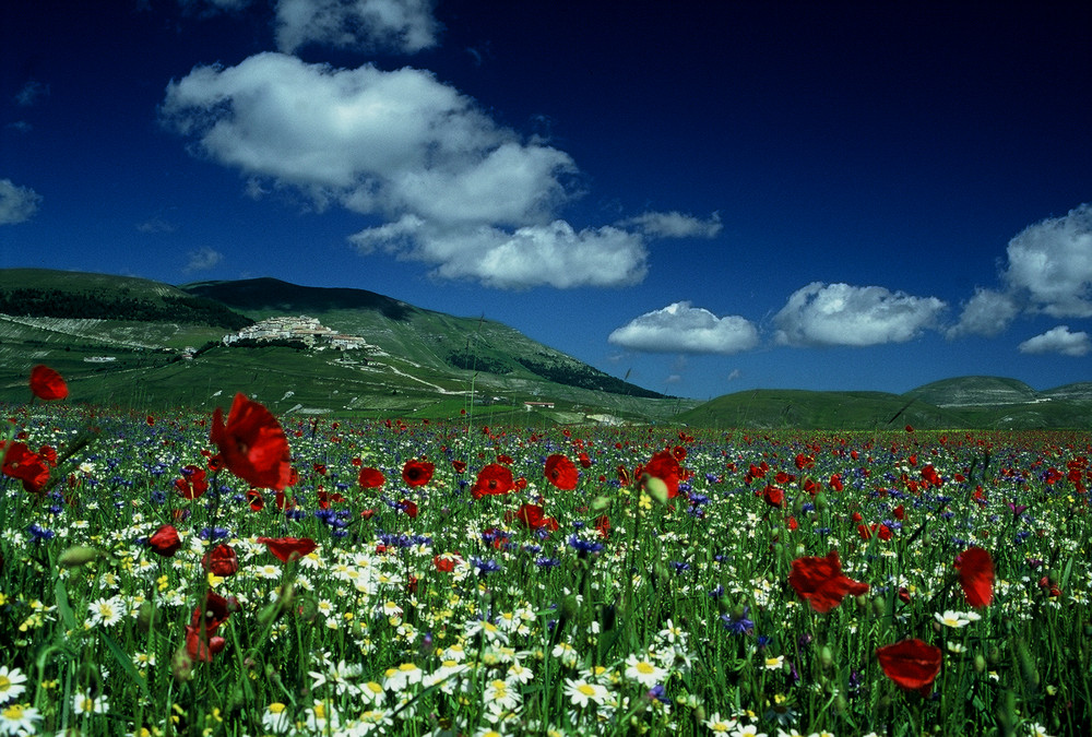 verso castelluccio