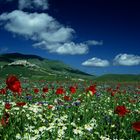 verso castelluccio