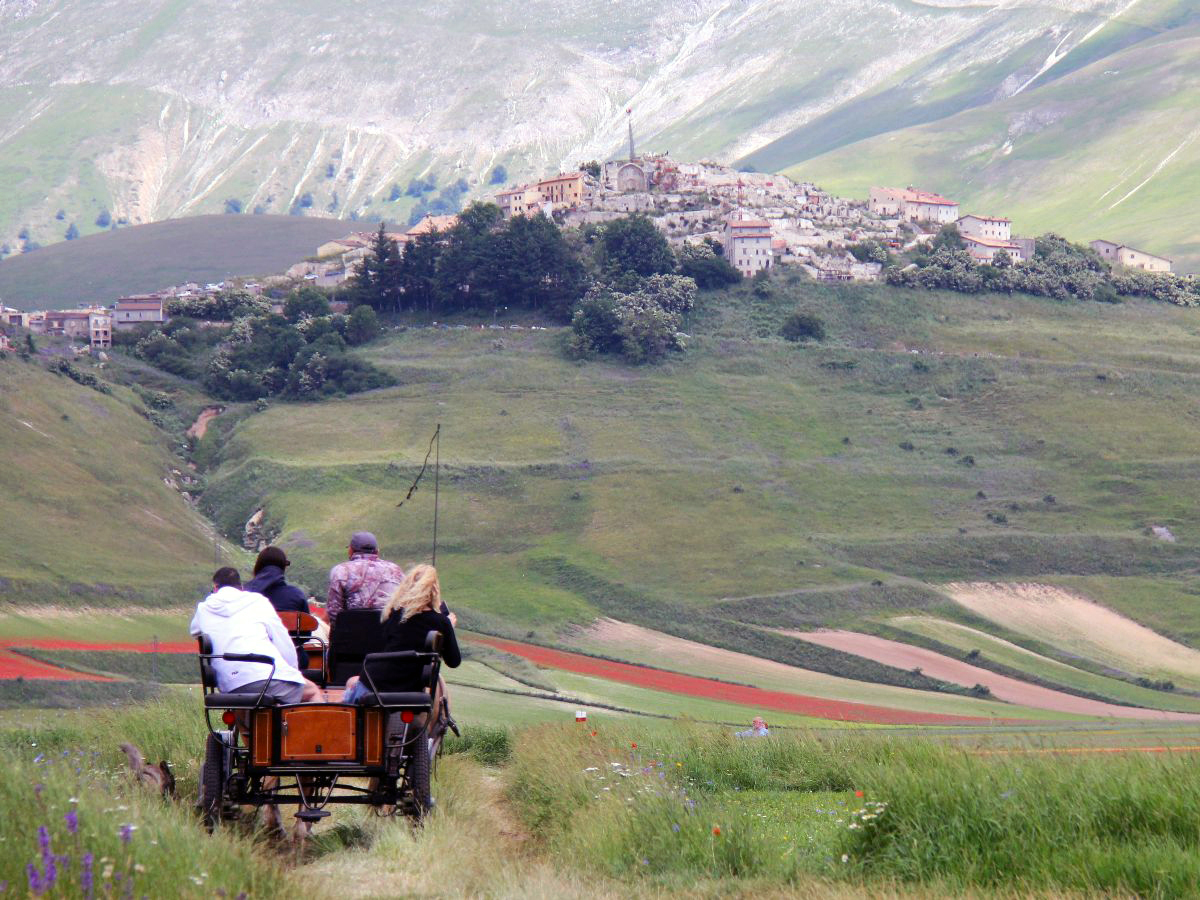 Verso Castelluccio in carrozza