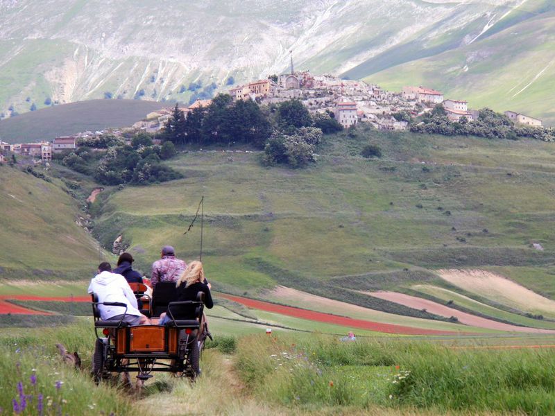 Verso Castelluccio in carrozza