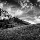 Verso Forcella Dignas (Val Visdende, Comelico, Belluno, Italia)