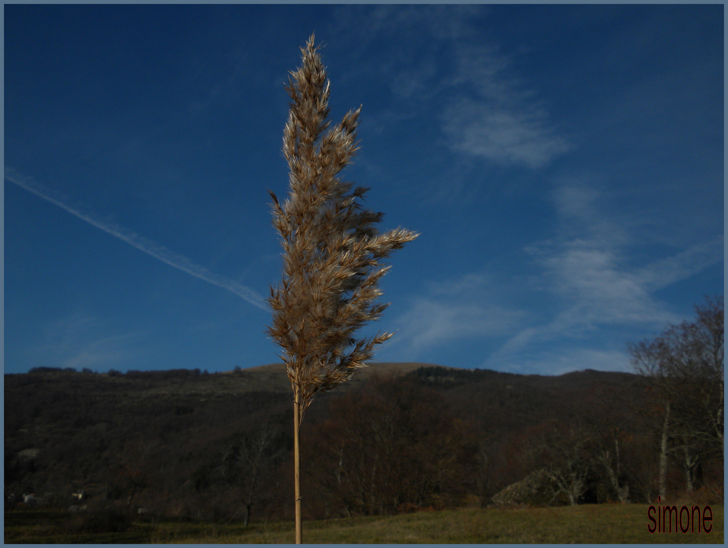 Verso il cielo.