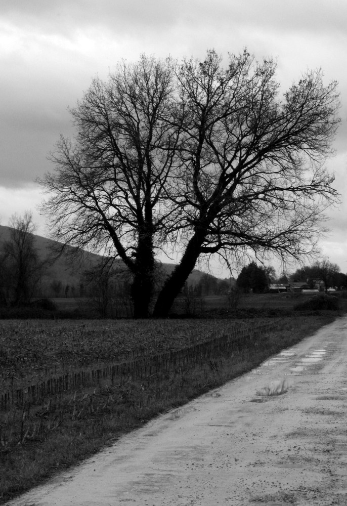 Verso il cielo