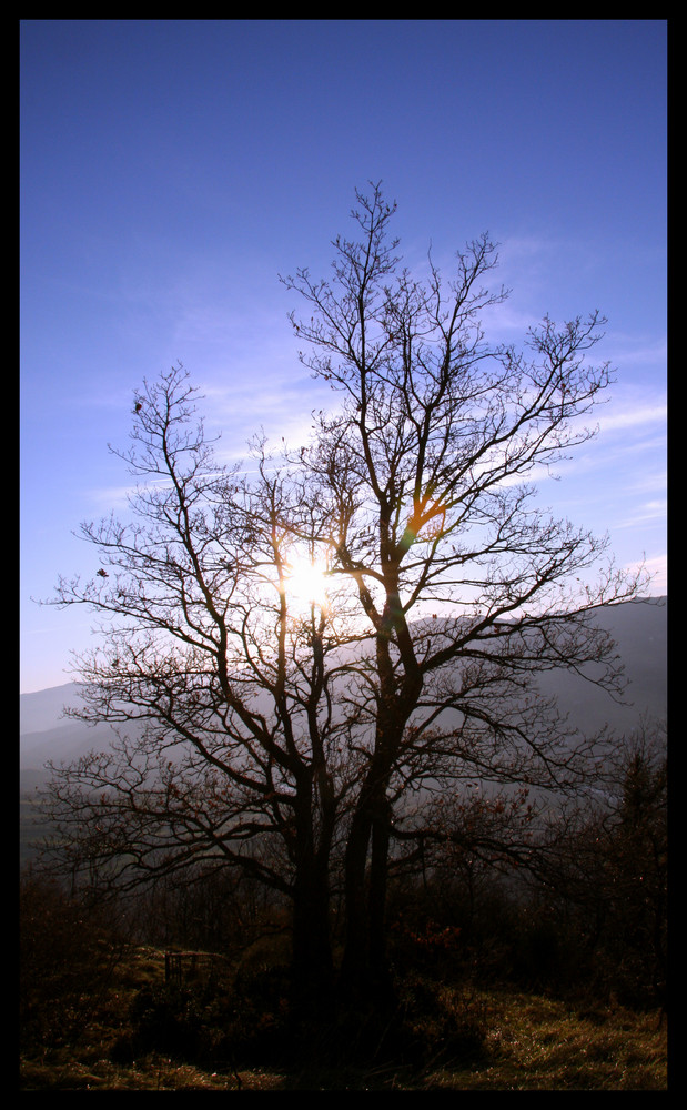 verso il cielo