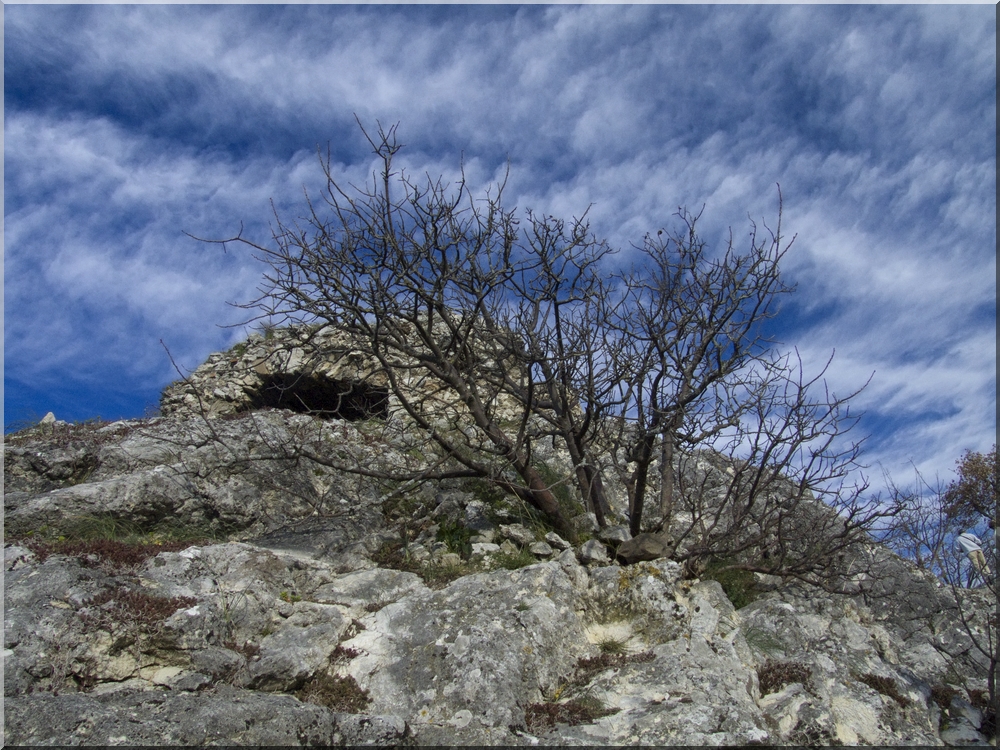 Verso il cielo