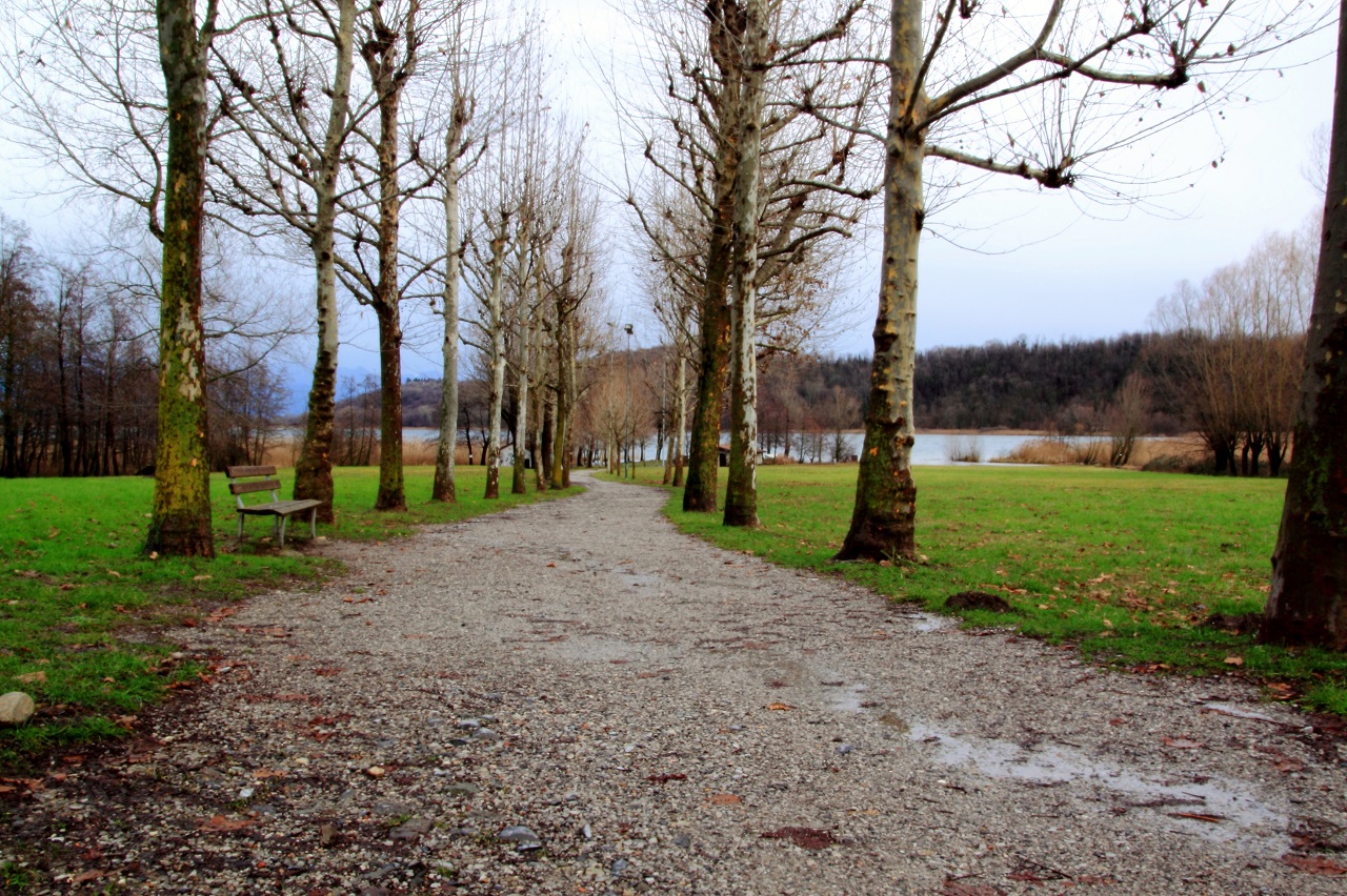 Verso il Lago Alserio