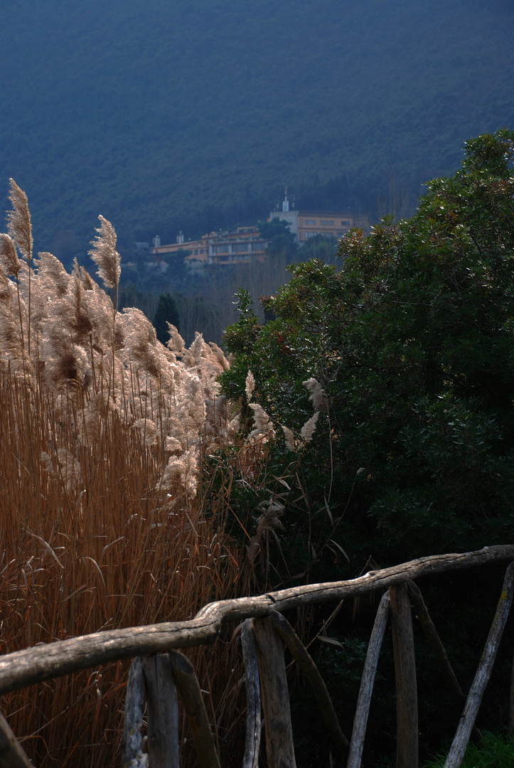 verso il monte