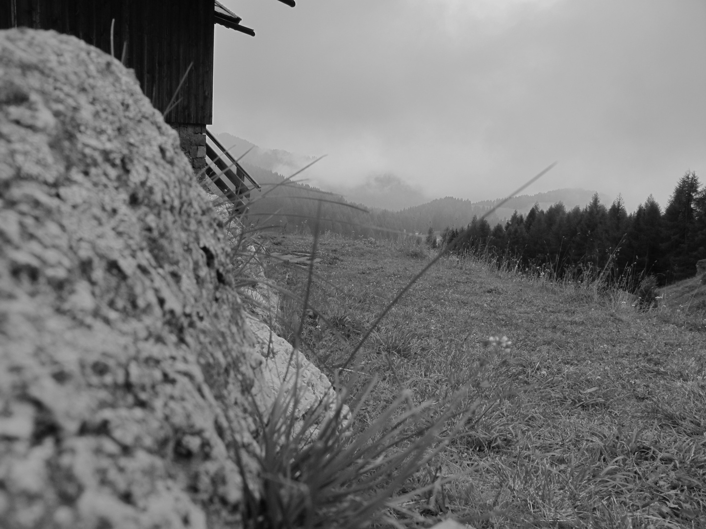 Verso Il Rifugio