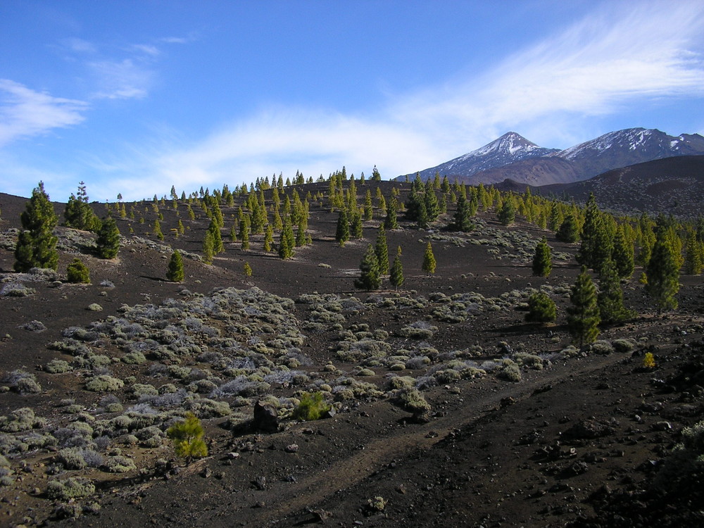 verso il Teide