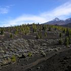 verso il Teide