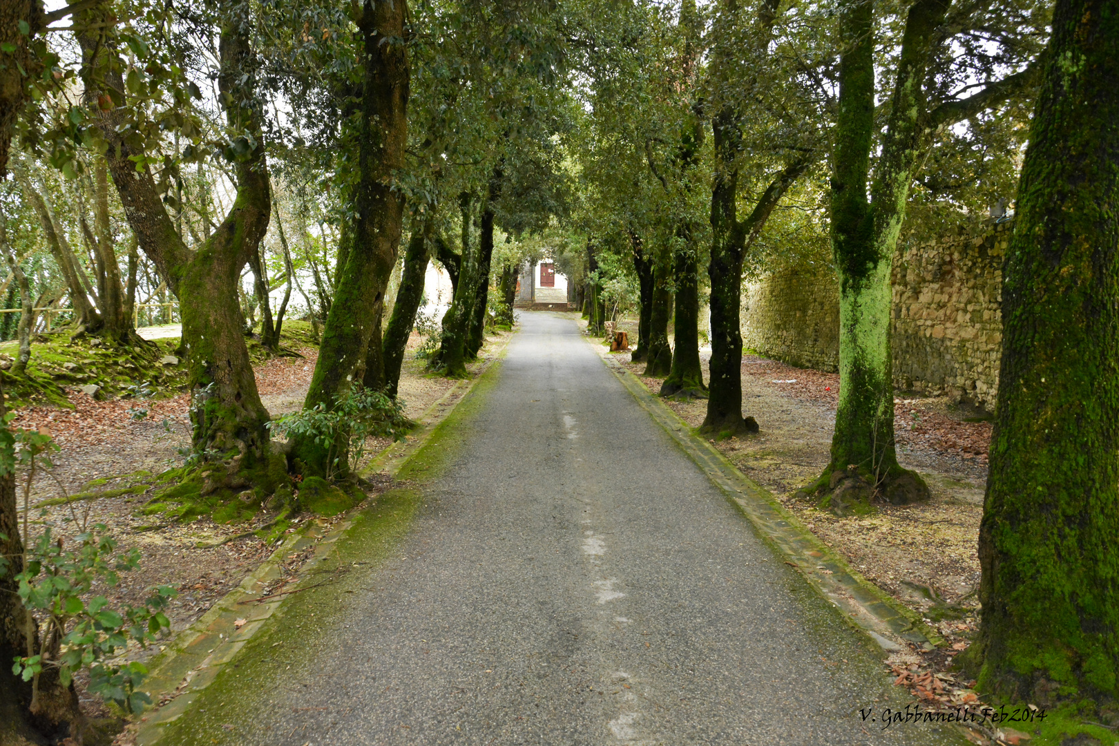 Verso la Chiesa di San Pietro al Conero