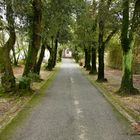 Verso la Chiesa di San Pietro al Conero