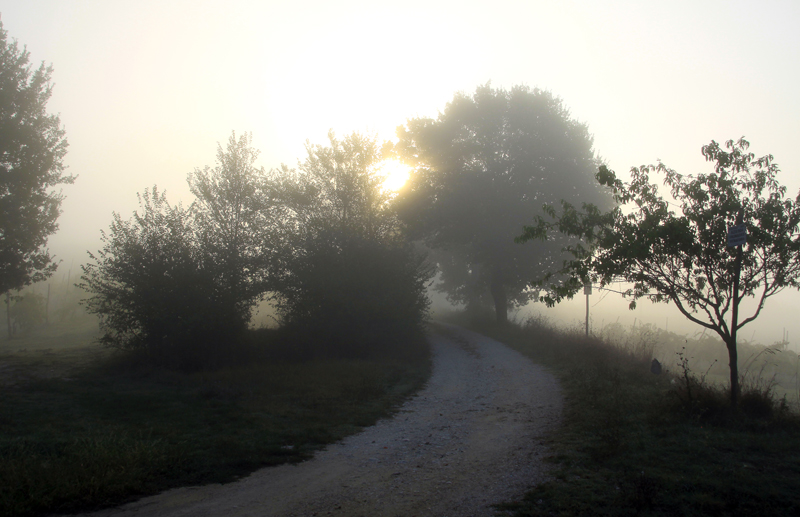 Verso la luce