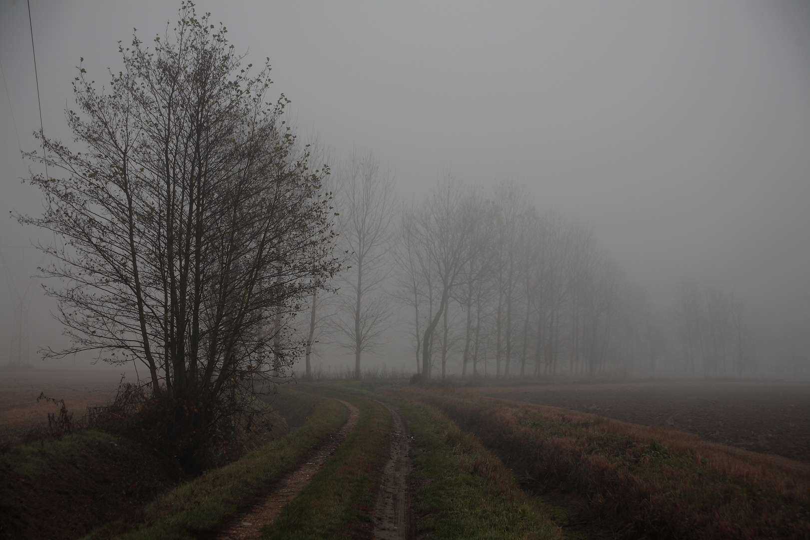 verso la nebbia