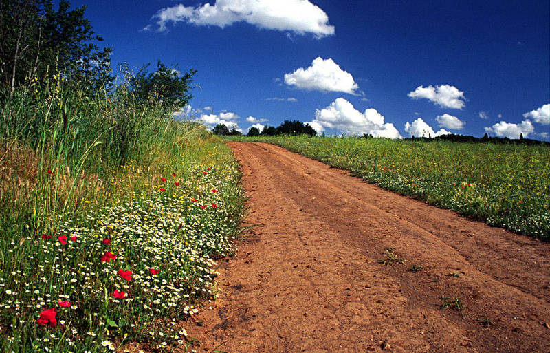 Verso la primavera