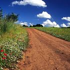 Verso la primavera