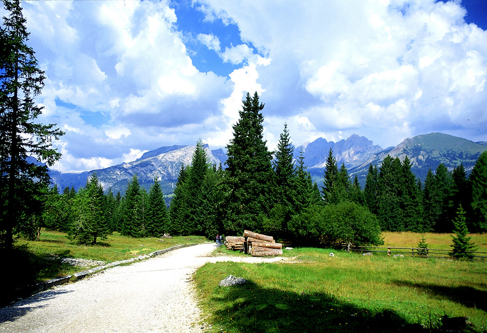 Verso L'alpe di Siusi