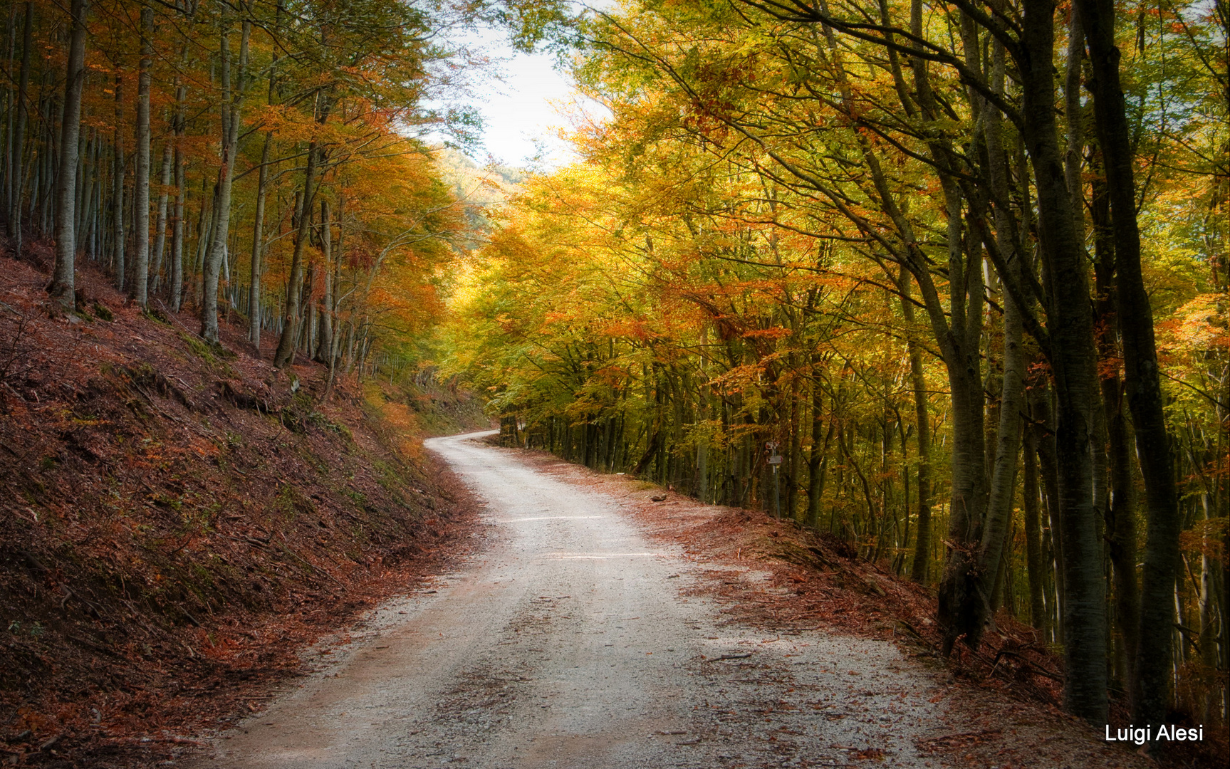 Verso l'autunno