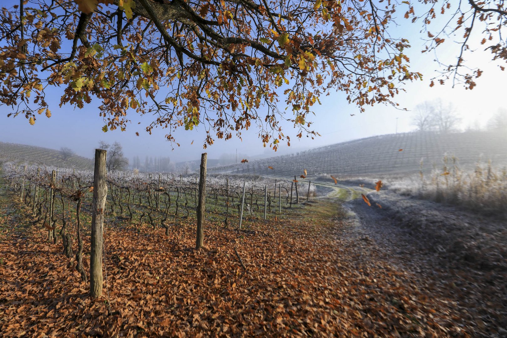 verso l'inverno 