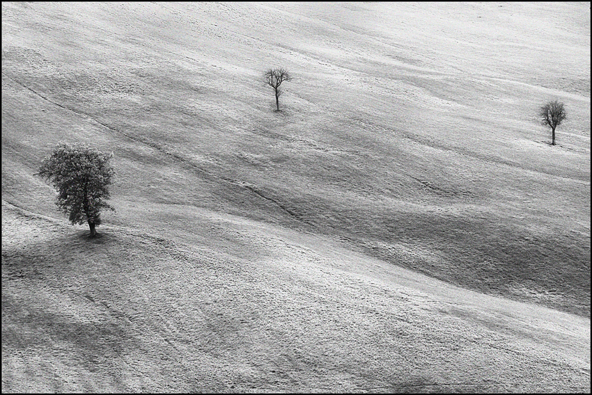 ... VERSO L'INVERNO ...