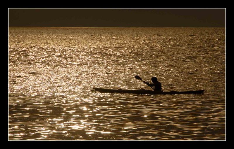 Verso l'Oro ...