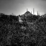 Verso Oriente - Istanbul - # 2