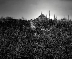 Verso Oriente - Istanbul - # 2