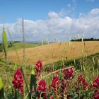 Verso Siena