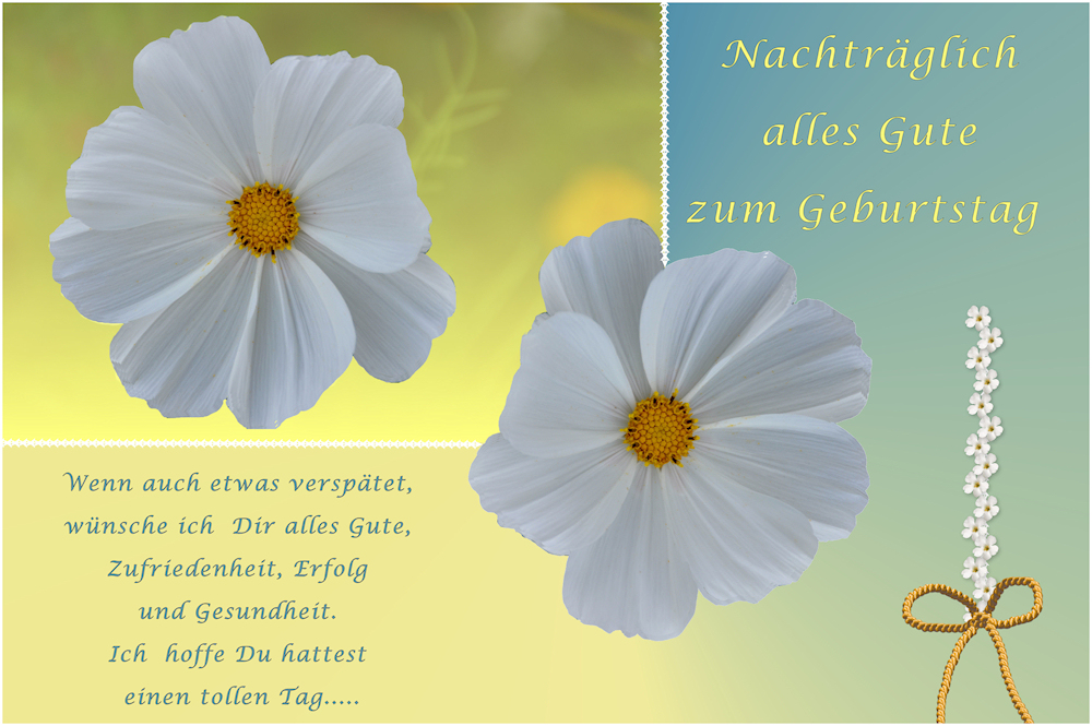 Geburtstags Gluckwunsche Foto