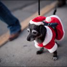 Verspaetete Weihnachtsgruesse nach Deutschland